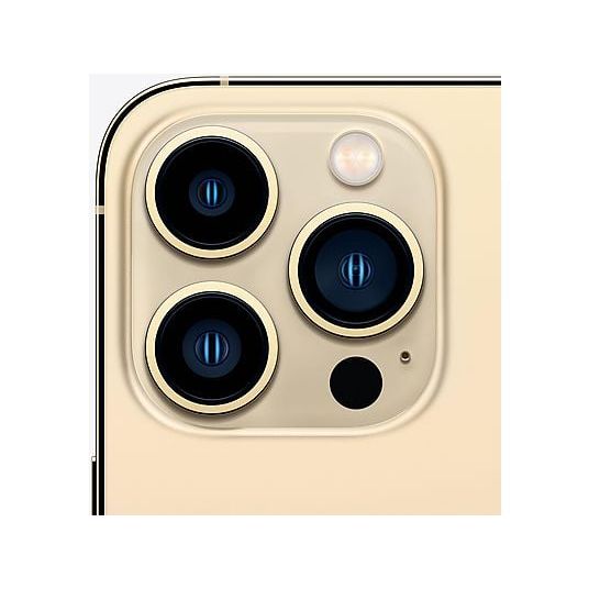 Refurbished iPhone 13 Pro Max 256GB - Goud - Nieuwstaat - 123TelecomShop
