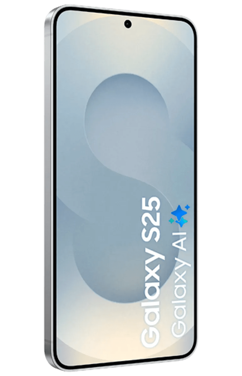 Samsung Galaxy S25 256GB 5G - Zilver - 123TelecomShop