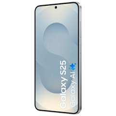 Samsung Galaxy S25 256GB 5G - Zilver - 123TelecomShop