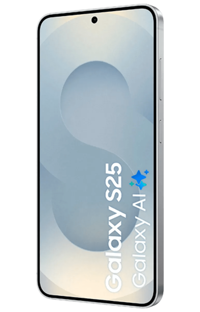Samsung Galaxy S25 256GB 5G - Zilver - 123TelecomShop